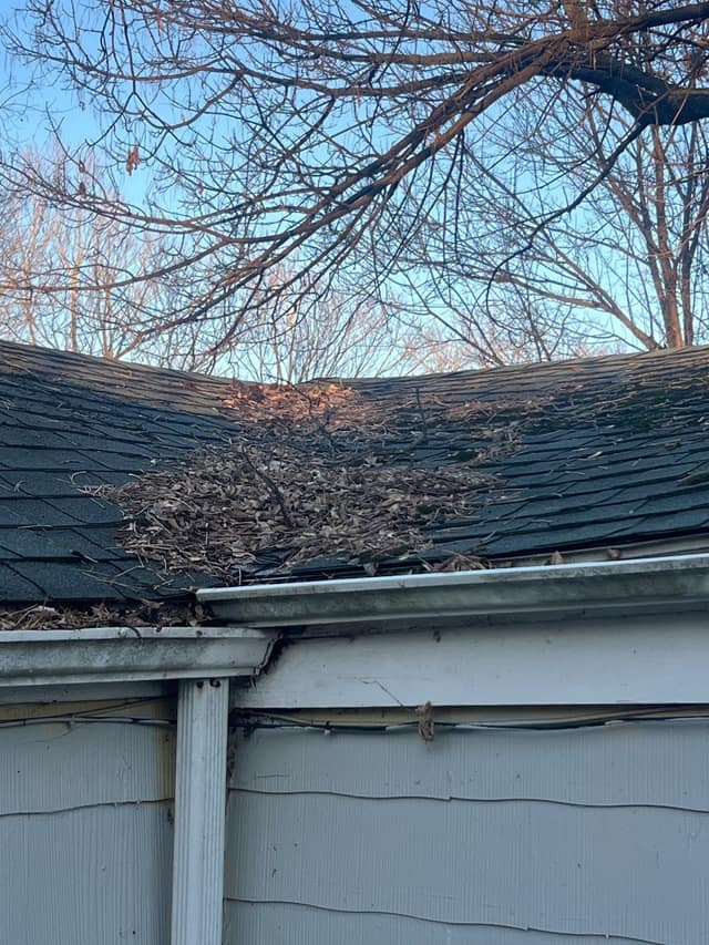 1527 E Decatur St photo 13