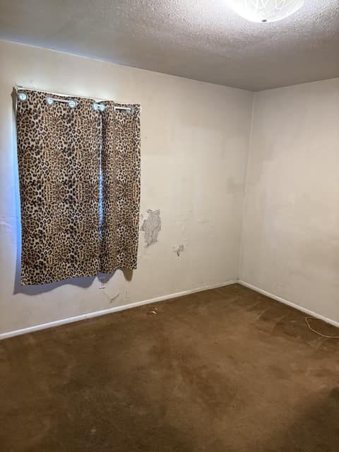 1546 David Drive photo 12