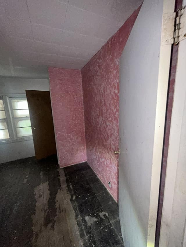 17 Cahokia St photo 21