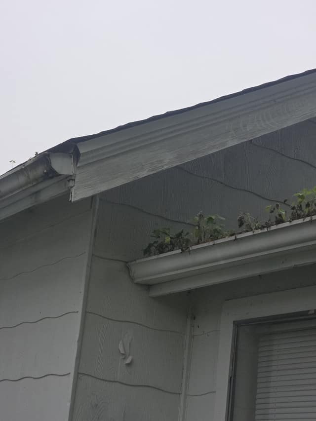 1818 E Clay photo 8