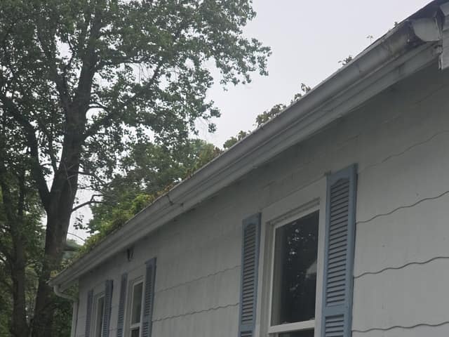 1818 E Clay photo 9