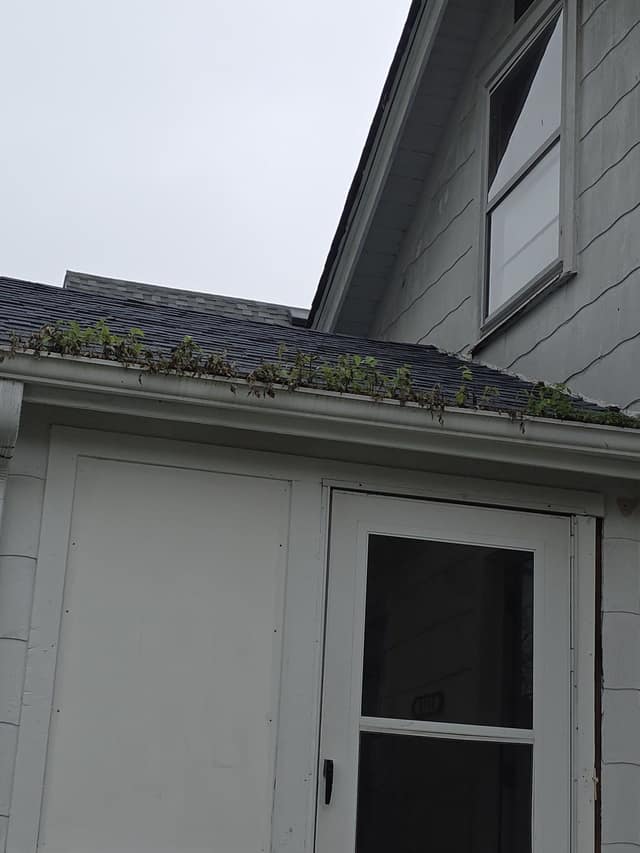 1818 E Clay photo 21