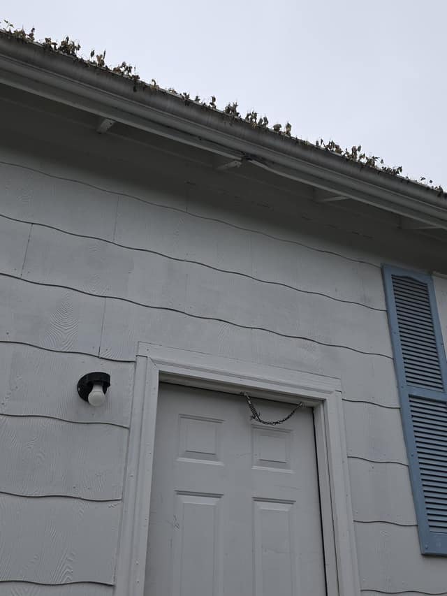 1818 E Clay photo 29