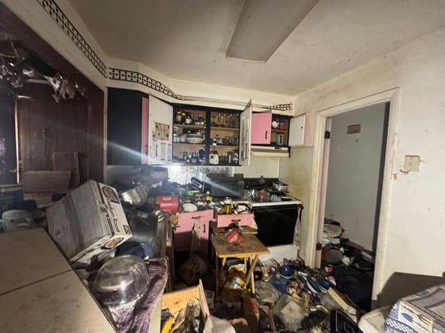 208 Carol Drive photo 2