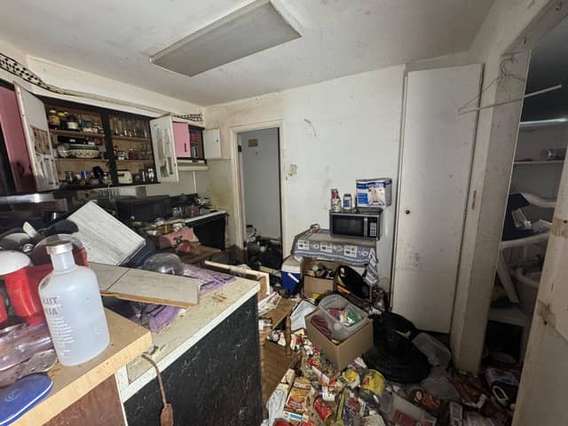 208 Carol Drive photo 7