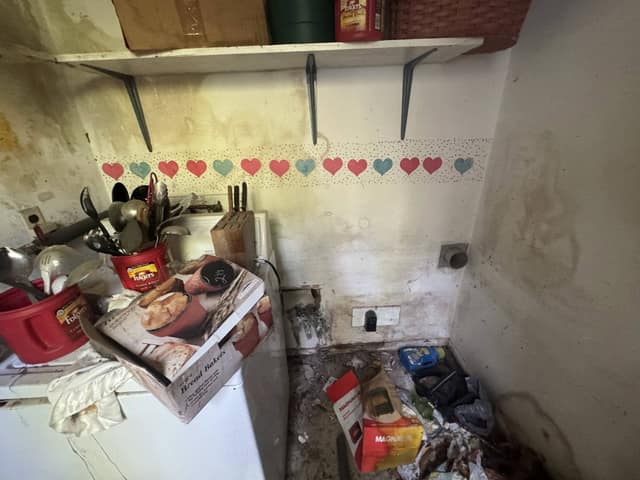 208 Carol Drive photo 17