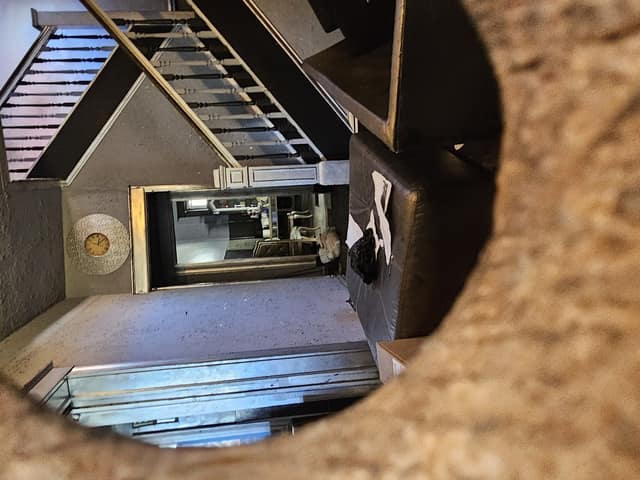 2636 Market Ave photo 21