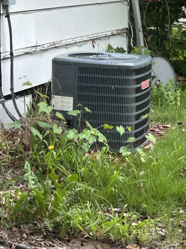 26 Leonard Dr photo 25