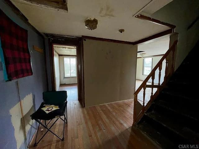 431 Finch St photo 9