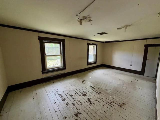 431 Finch St photo 3