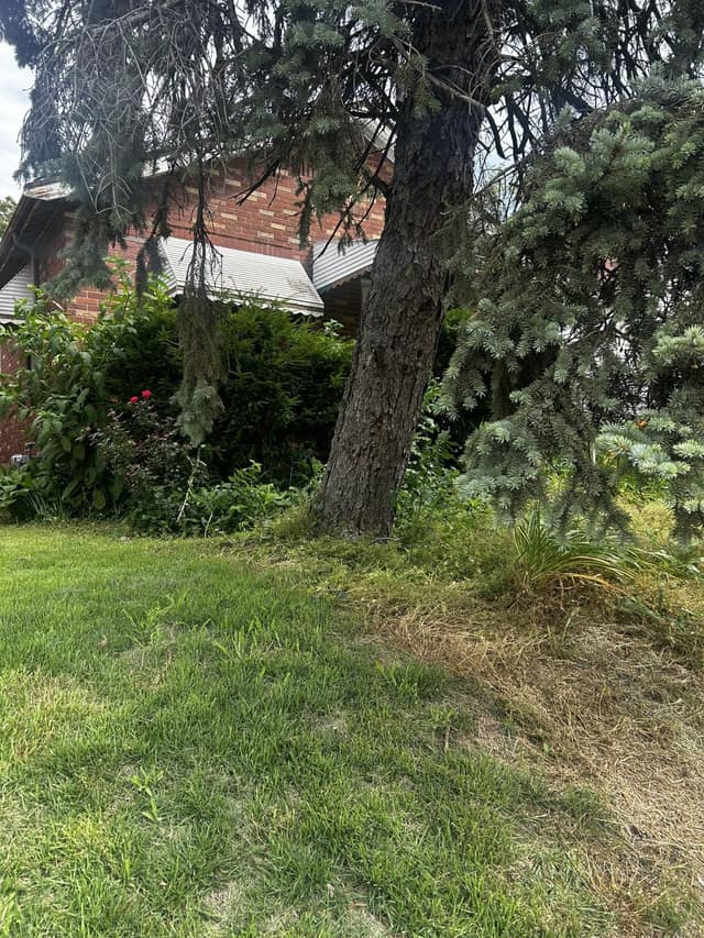 4719 Plover Ave photo 3