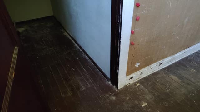 5257 Alcott Ave photo 9