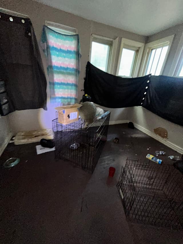 5051 Thrush Avenue photo 11