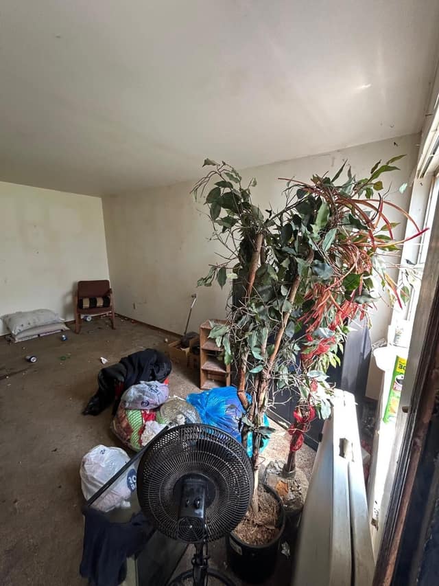 59 Jarvis Pl photo 5