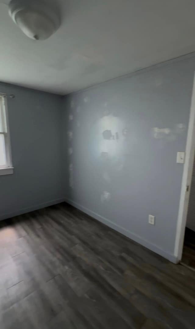 1035 Elmurst Avenue photo 4