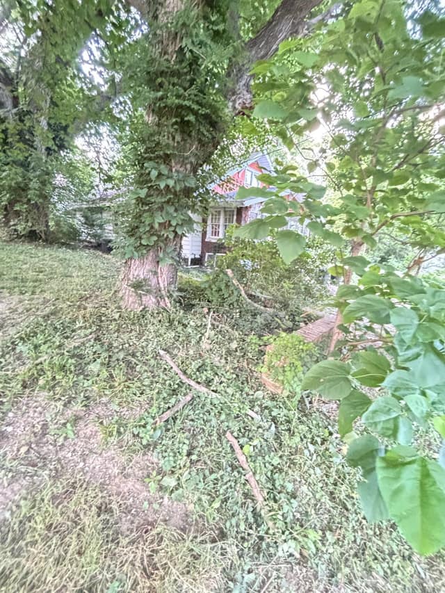 108 E Shipping St photo 12
