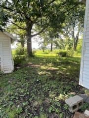 1009 Ernest St Cahokia IL 62206 photo 5