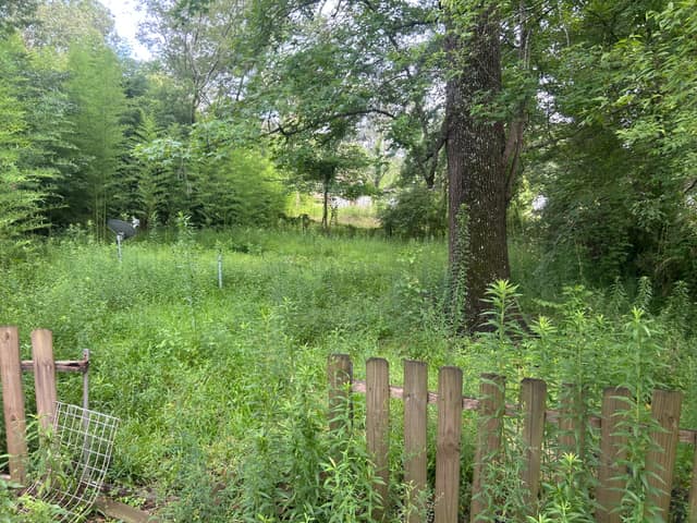 451 Mason Boulevard, Jackson, MS 39212 photo 6