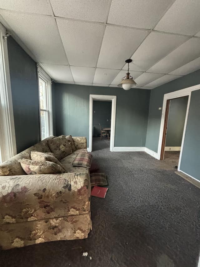 911 W Hurlburt St, Peoria, IL photo 28