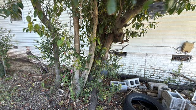 1903 Heckle Street , Augusta, GA: owner financed home, photo 37