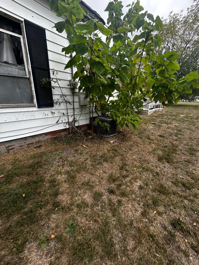 529 N 2nd Street, Witt, IL: owner financed home, photo 7