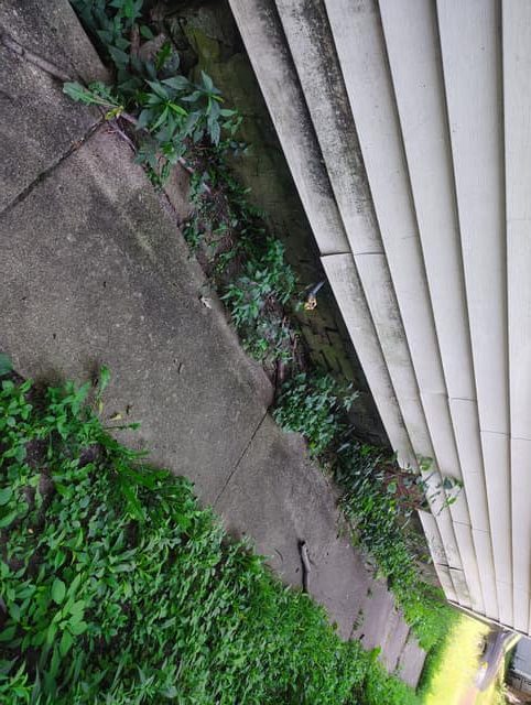 2210 W Wiswall St, Peoria, IL: owner financed home, photo 14
