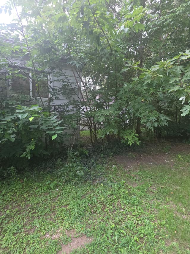 1021 Maple St, Pekin, IL: owner financed home, photo 5