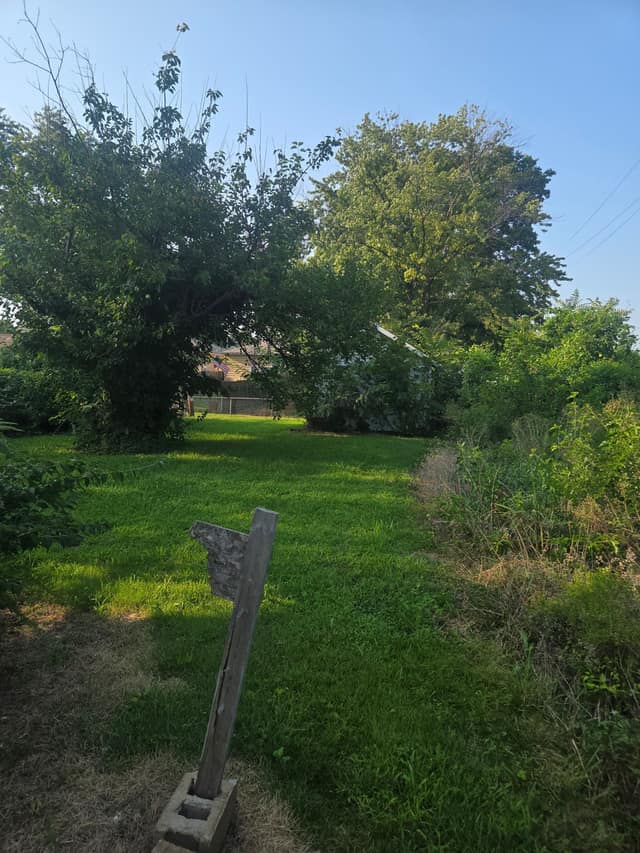 605 Fremont St, St. Louis, MO: owner financed home, photo 3