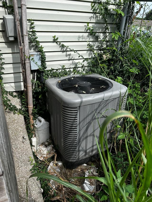 634 N 8th St, East St. Louis, IL: owner financed home, photo 5