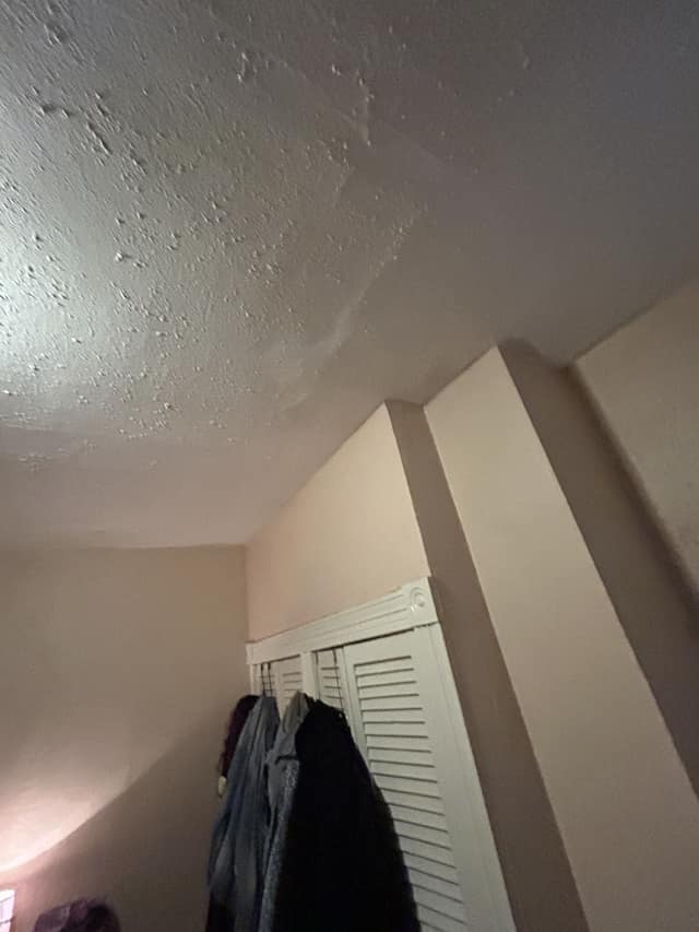 5532 Robin Ave, St. Louis, MO: owner financed home, photo 6