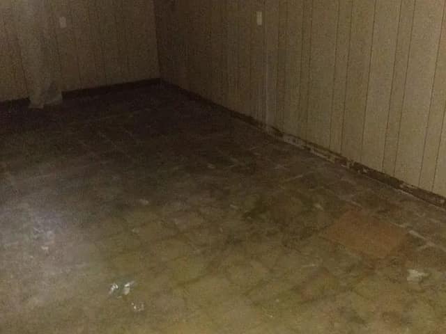 327 Sauget Ave, Cahokia, IL: owner financed home, photo 2