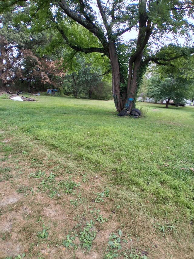 214 Pyle St, Carrier Mills, IL: owner financed home, photo 6