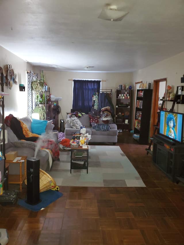 303 W. Sycamore Street, Carbondale, IL: owner financed home, photo 3