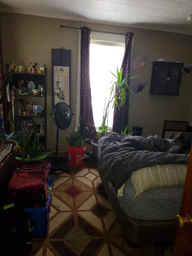 303 W. Sycamore Street, Carbondale, IL: owner financed home, photo 4