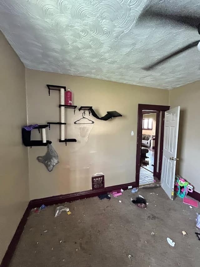 8401 N Broadway, St. Louis, MO: owner financed home, photo 11