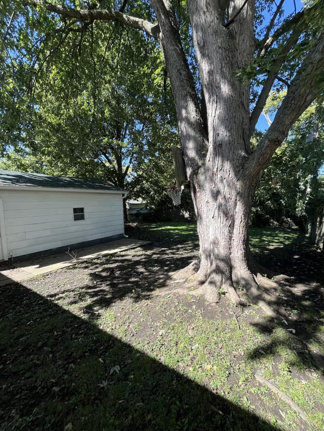 1422 Sedgwick St, Decatur, IL: owner financed home, photo 9