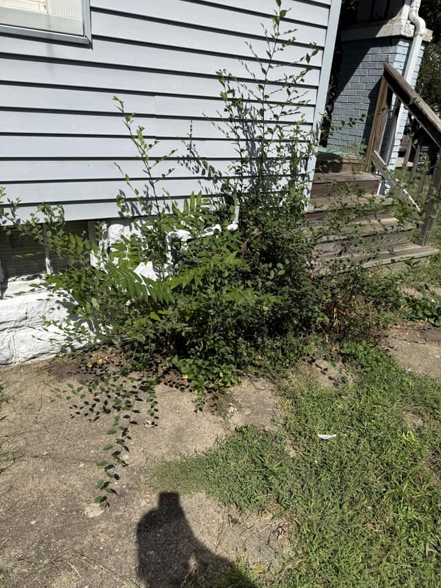 1905 N College St, Decatur, IL: owner financed home, photo 7