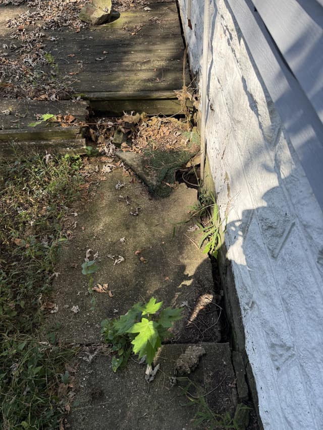 1905 N College St, Decatur, IL: owner financed home, photo 11