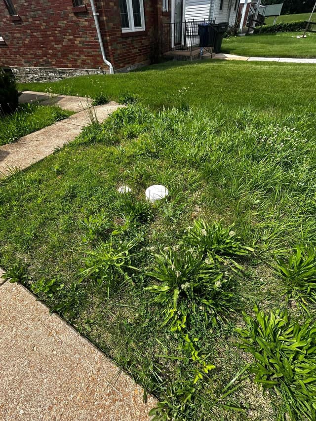8554 Oriole St, Saint Louis, MO: owner financed home, photo 5