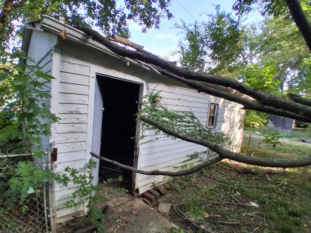 1645 E Walnut St, Decatur, IL: owner financed home, photo 4