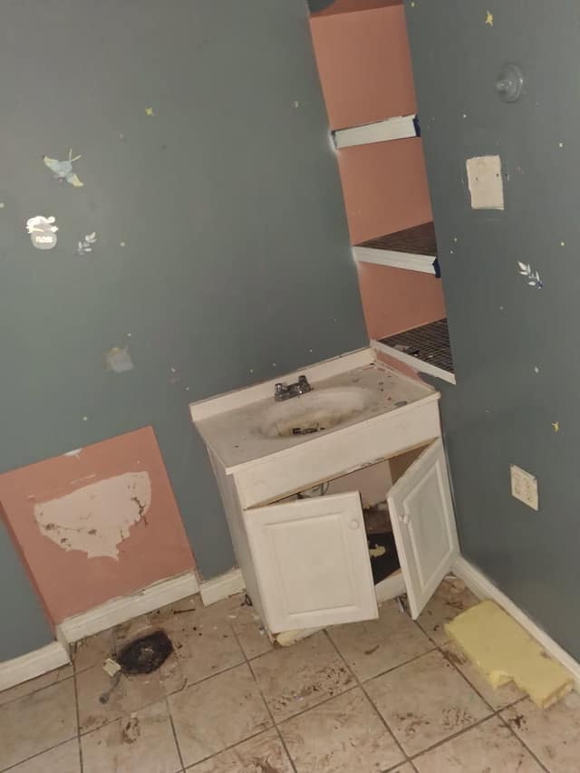2309 W Malone St, Peoria, IL: owner financed home, photo 3
